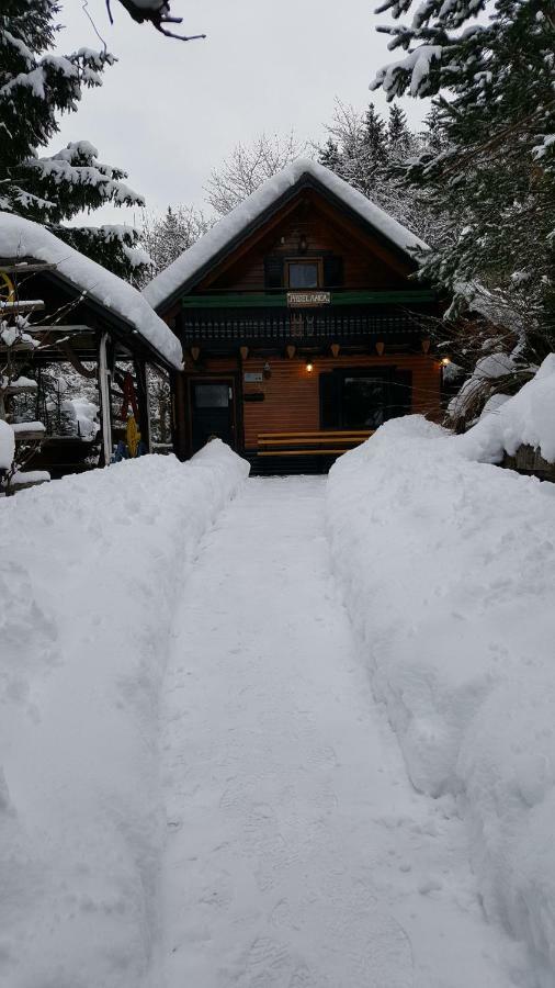Holiday Home Prdelanca Luče エクステリア 写真